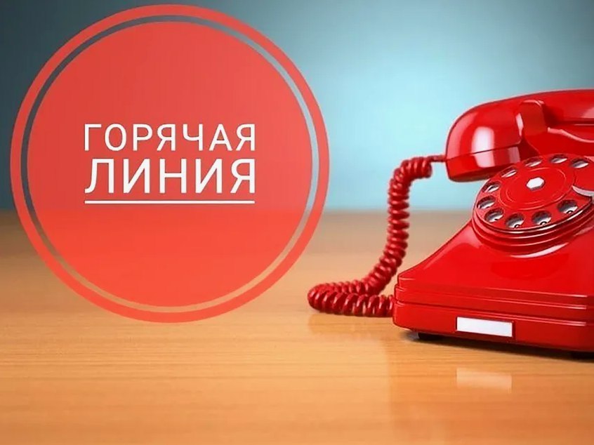 «Горячая линия» службы занятости населения Курской области.